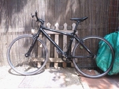 Carrera Subway Zero single speed bike. Gatorskin tyres