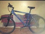 Carrera Bike