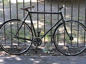 Single Speed / Fixie Mens Road Bike