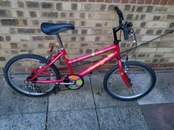 Girls Raleigh d Lite mountain bike, 6 speed, 20" wheels.&#163;30 Enfield, London