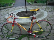 Graham Weigh Champion Racer XL 61cm Reynolds 531 Steel Full Shimano 105 Groupset Superfast Machine.&#163;350 London