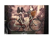 pashley sonnet pure x2&#163;265 Islington, London