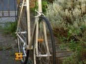 single speed bike