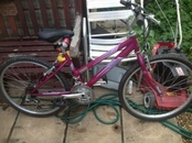 Raleigh kobo 24" wheels girls bike in great condition&#163;35 London